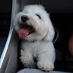 Meet your Posher, Becky